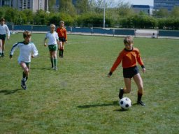 0DIA 1984 RAVA PUPS 1